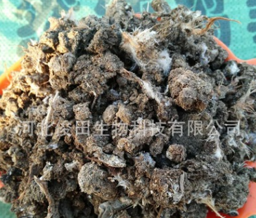 生物肥與飼料 鋤禾日當午，畜牧漁業的綠色未來